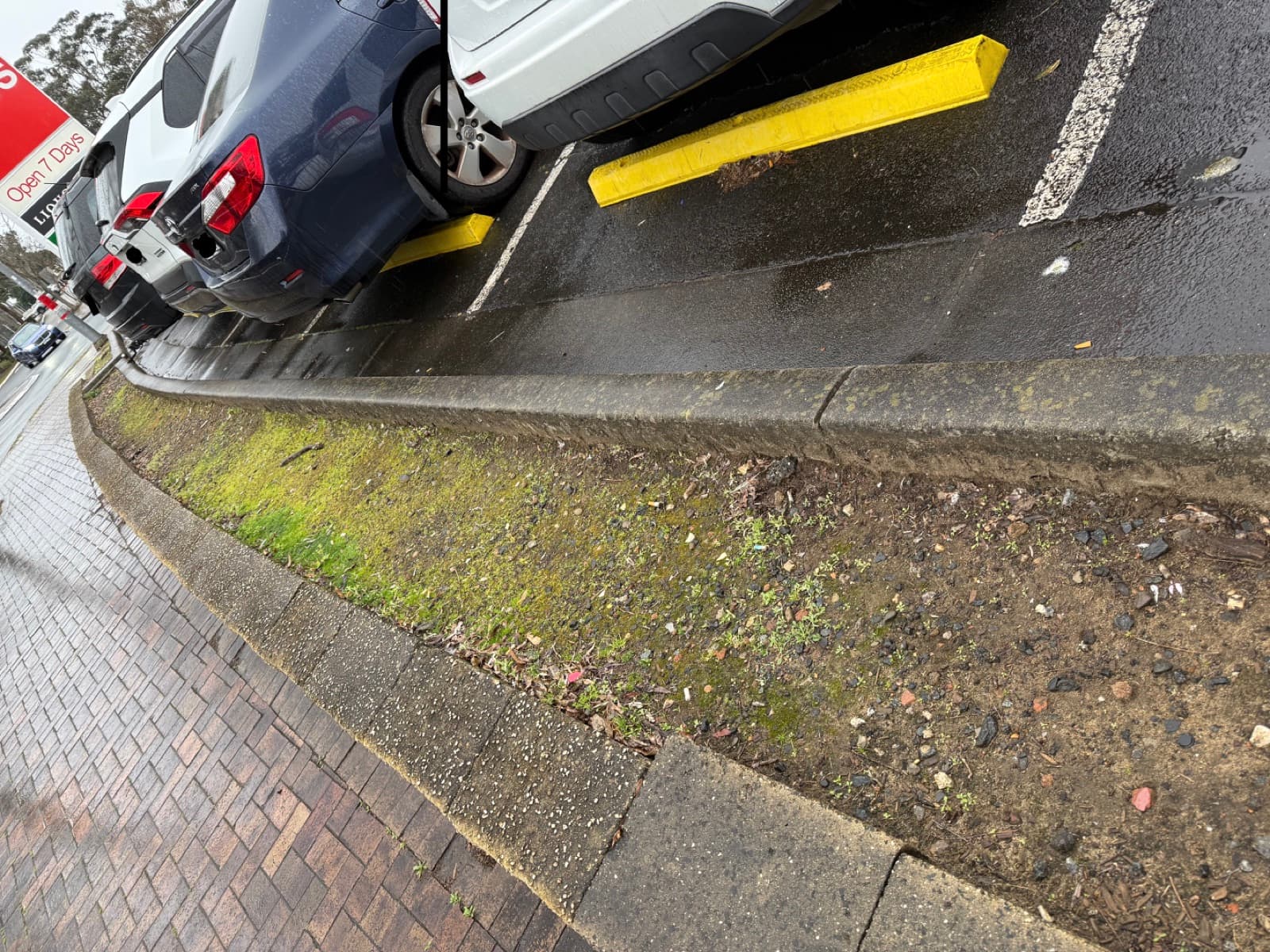 After the clean-up at Woodcroft Shopping Village