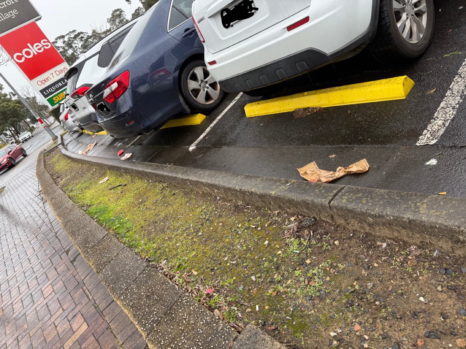 Before the clean-up at Woodcroft Shopping Village